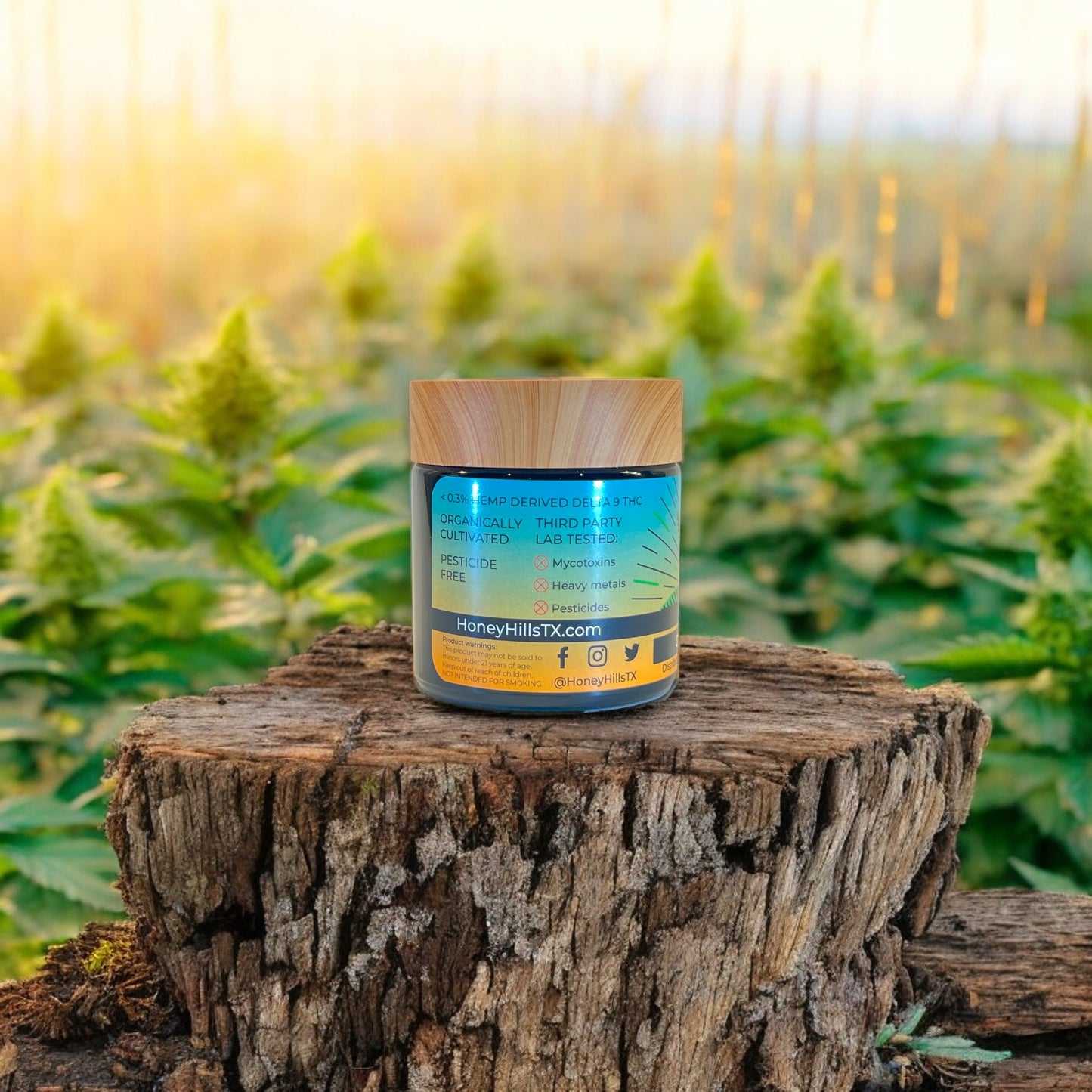 Gold Cash - THCA flower