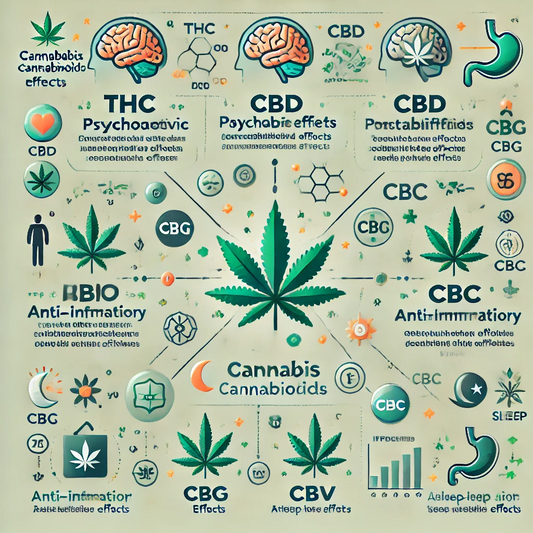 Understanding Cannabinoids: The Key Compounds in Cannabis and Their Effects